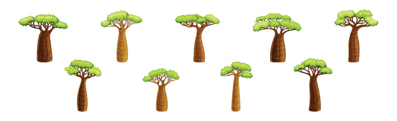 African Baobab Tree with Crown and Brown Trunk Vector Set