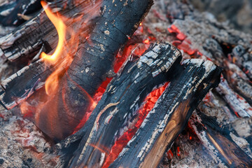 A bonfire of burning logs with flames of red and orange color.
