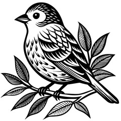 Bird vector illustration.