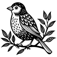  Bird vector illustration.