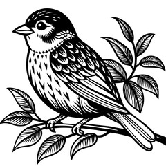  Bird vector illustration.