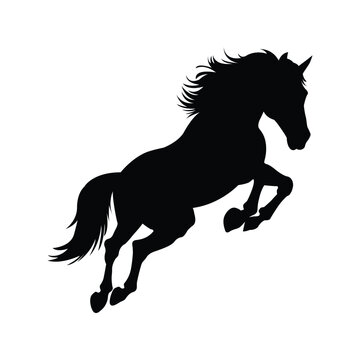 silhouette of a horse on white