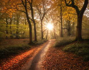 Fototapeta premium Enchanted Autumn Forest Path at Sunrise