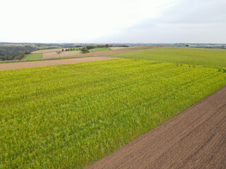 View from above of a farmland with rapeseed and plowed soil 