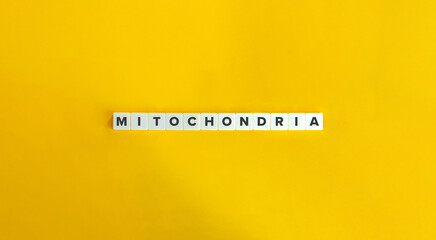 Mitochondria Word and Banner. The Powerhouse of the Cell, Energy Converter, Text on Block Letter Tiles on Yellow Background. Minimalist Aesthetics.