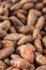 Dry cocoa seeds. Organic healthy organic food, Concept, cocoa prices, High content of magnesium and theobromine, Food industry for making chocolate, drinks, cakes and ice cream, vertical, close up