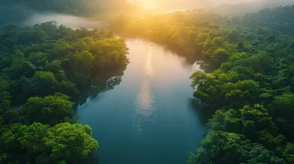 Tuinposter Aerial View of River Surrounded by Trees © yganko