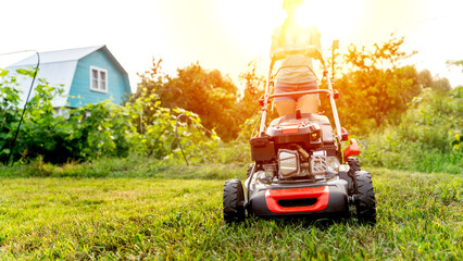 girl with a lawnmower mows the green lawn