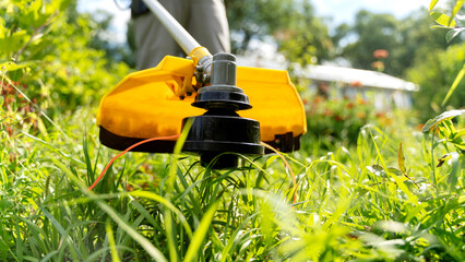 A gardener with a grass trimmer mows the grass on the property