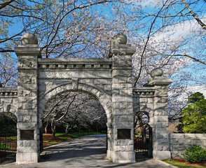 Historic Oakwood cemetery entrance and Spring trees in bloom in Raleigh North Carolina - 781518947