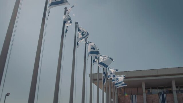 Waving Israeli flags near the government.