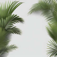 Fototapeta na wymiar realistic palm tree leaves on white background