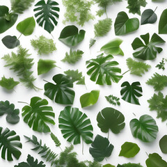 set pattern with green leaves on white background