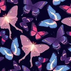 Foto op Canvas Vector pattern with high detailed vivid butterfly © olga_igorevna