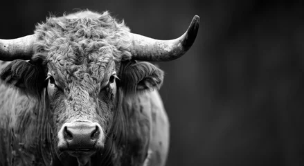 Fotobehang A bull with horns is staring at the camera. The image has a moody and intense feel to it, as the bull's gaze seems to be fixed on the viewer. Bull Wallpaper © Nataliia_Trushchenko
