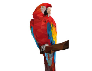 mayra galindo © mayra