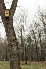 Old wooden birdhouse on a cherry tree in the farm park zone. Simple birdhouse design. Shelter for bird breeding, nesting box on a tree