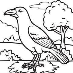 Crow coloring pages. Crow bird outline vector for coloring book