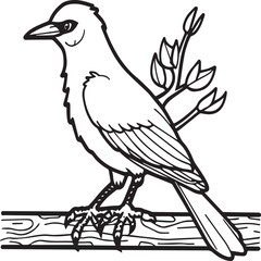Crow coloring pages. Crow bird outline vector for coloring book