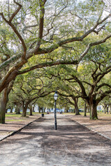 White Point Garden at the Battery in Charleston South Carolina with Southern Live Oak Trees. 