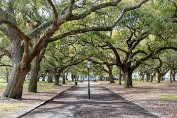 Fototapeta premium White Point Garden at the Battery in Charleston South Carolina with Southern Live Oak Trees. 
