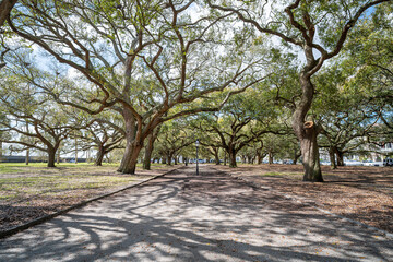White Point Garden at the Battery in Charleston South Carolina with Southern Live Oak Trees. 