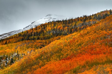 A Journey Through Time And Light