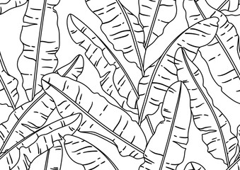 Pattern with banana palm leaves. Decorative image of tropical foliage and plants.