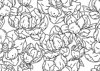 Pattern with magnolia flowers. Beautiful decorative plants.
