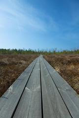 Niedraju Pilkas swamp with wooden boardwalks