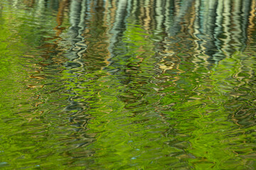 The reflection of the trees in the water