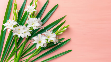 A bouquet of white flowers is arranged on a pink background. The flowers are tall and slender, with green leaves at the base. The arrangement gives off a sense of elegance and sophistication