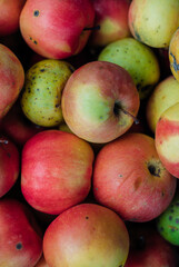 Ripe juicy apples in the box. The fruits are red and yellow in color. Autumn harvest.