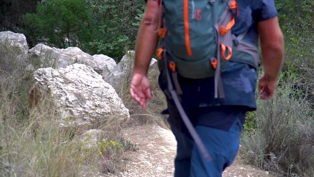 Slow motion, back view of a hiker walking in the forest
