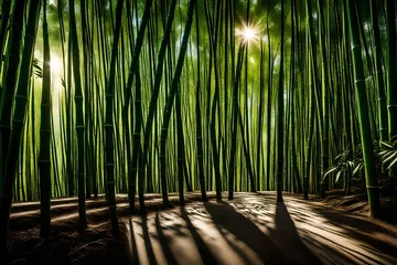 Foto auf Acrylglas bamboo forest in the morning © Momina