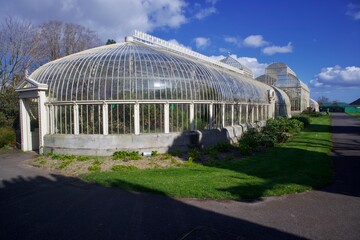 Fototapeta na wymiar Botanical garden and greenhouse 3