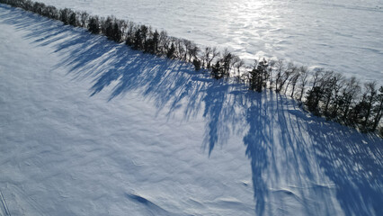 Minimalist landscape of winter nature. Diagonal row of tree silhouettes with long shadows in the middle of frozen field. Snow crust texture background.