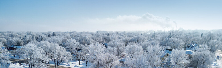 Landscape of white winter city. Roofs of houses behind snow or frost covered trees. Panorama of clear blue sky above horizon. Frosty day in frozen town.