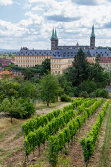 Fototapeta na wymiar Blick über die Weinberge zur historischen Altstadt von Bamberg vom Michaelsberg aus.