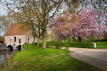 The Spui Groot Spui, former lock house on the Lier Binnennete Belgium. pink cherry blossom tree. Historic building landmark part of original town walls for fortification and protection of water level