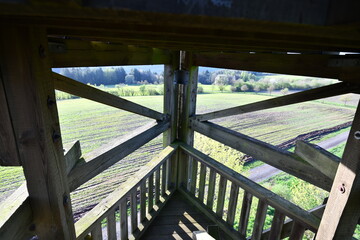 Ein Blick &uuml;ber die Vulkaneifel vom Aussichtsturm Rodt 