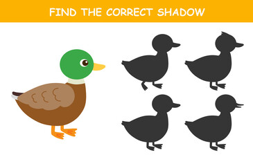 Find the correct shadow of the cute illustration of duck. Educational logic game for children. Printable worksheet.	