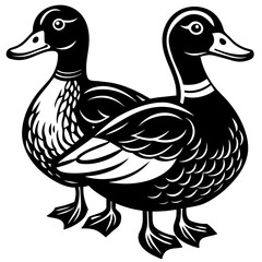 duck and ducklings