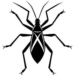 silhouette of a spider
