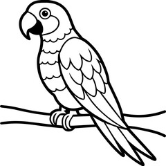 parrot on a branch