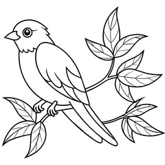 bird on branch