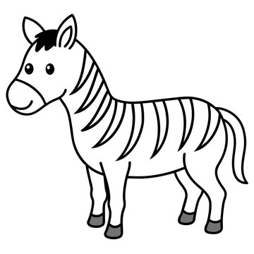 zebra isolated on white