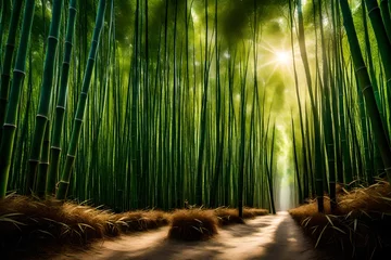Foto auf Acrylglas bamboo forest background © Momina