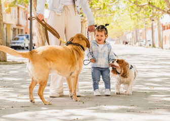 niña jugando con perros