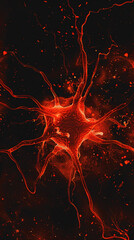 neuron of human nervous system